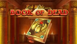 Book of Dead spielen