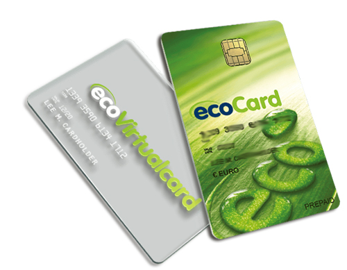 Ecopayz Card