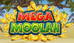 Mega Moolah spielen
